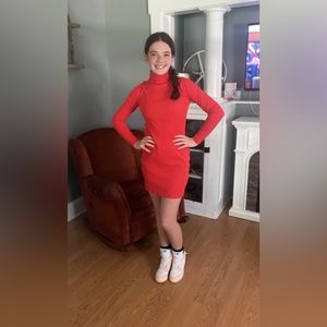 Ribbed Turtle neck Dress